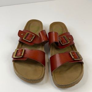 Brown Slides